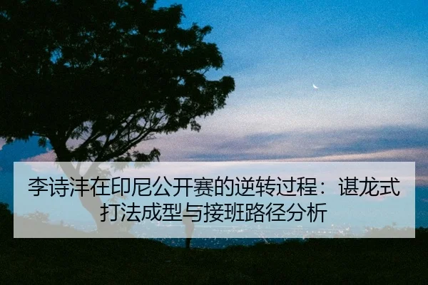 li-shi-feng-zai-yin-ni-gong-kai-sai-de-ni-zhuan-guo-cheng-chen-long-shi-da-fa-cheng-xing-yu-jie-ban-lu-jing-fen-xi-3-378.jpg