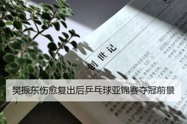 樊振东伤愈复出后乒乓球亚锦赛夺冠前景
